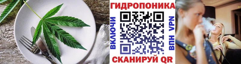Cannafood конопля магазин продажи Гаврилов Посад